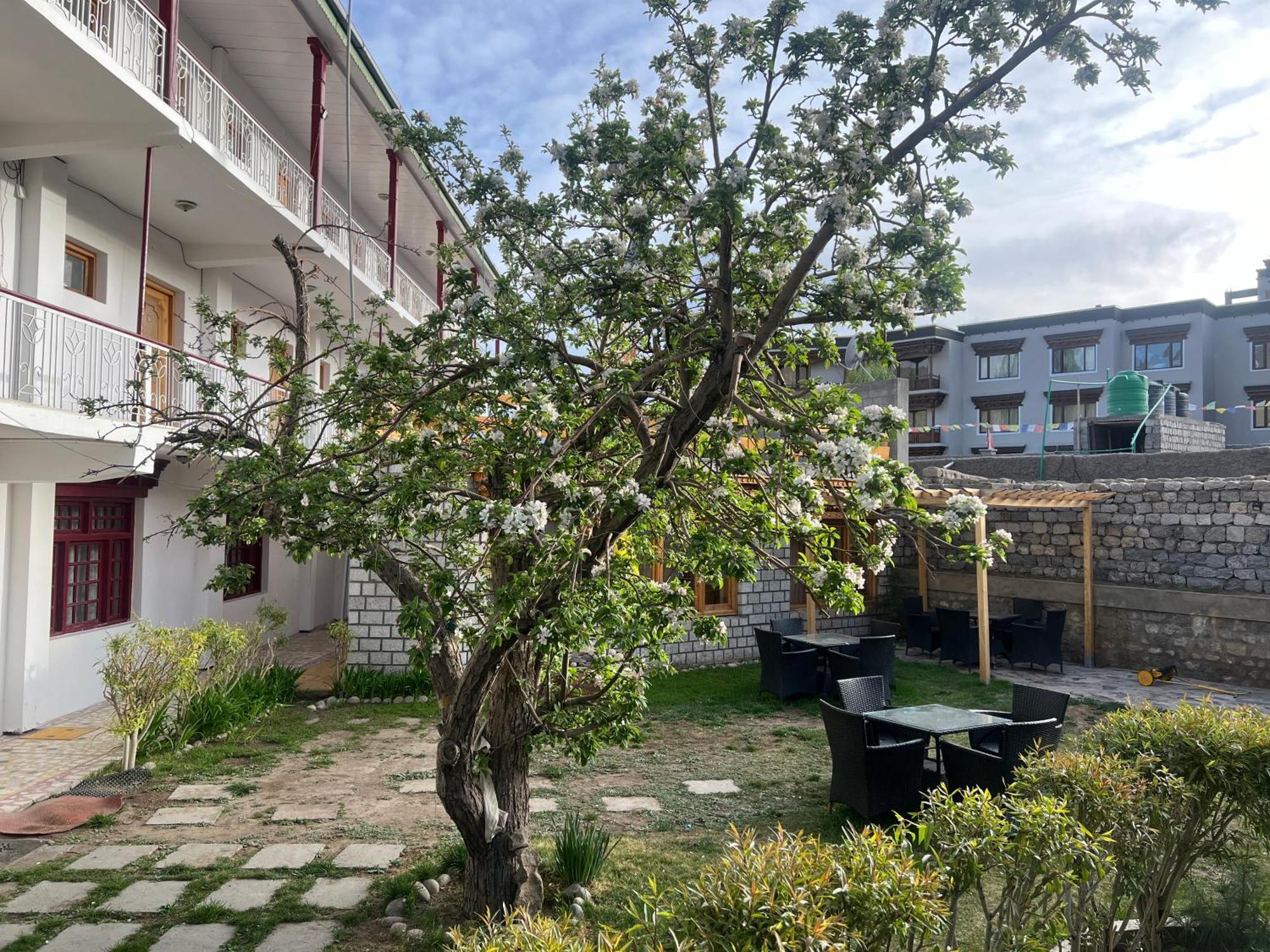 Hotel Lumbini レー エクステリア 写真