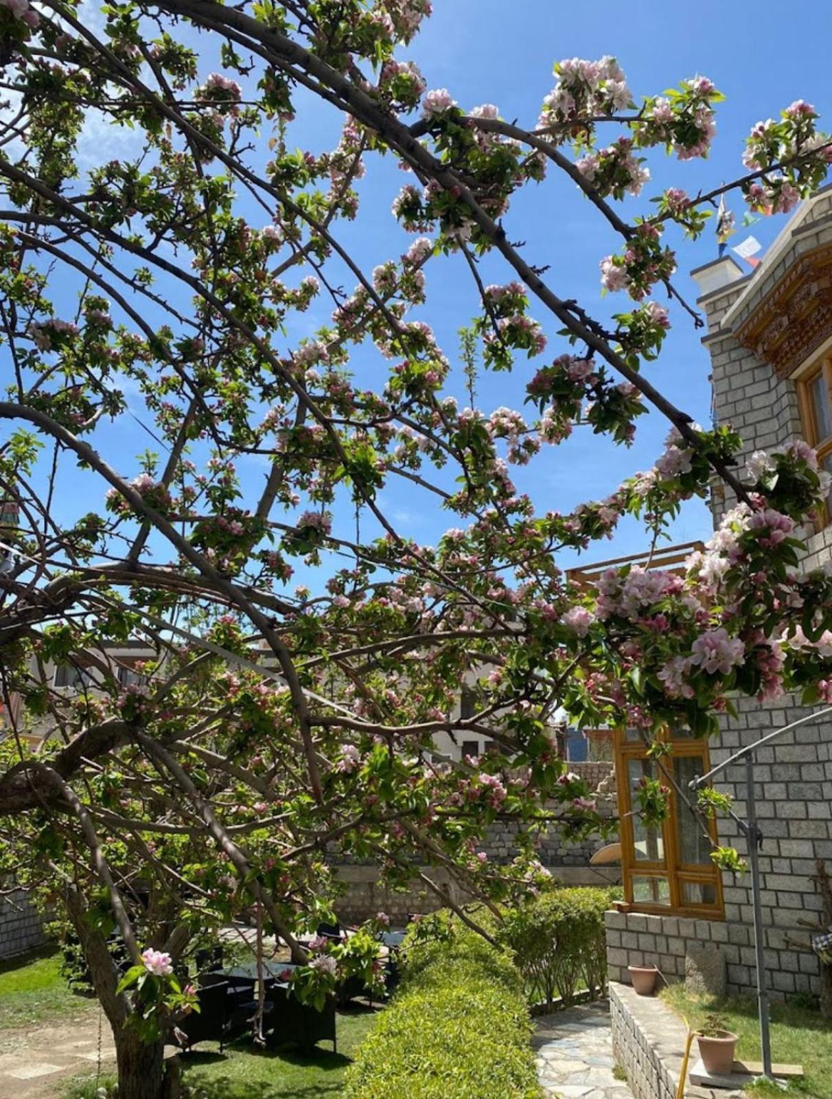 Hotel Lumbini レー エクステリア 写真